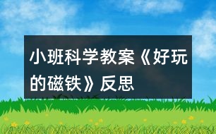 小班科學(xué)教案《好玩的磁鐵》反思