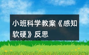 小班科學教案《感知軟硬》反思