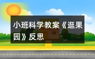 小班科學教案《逛果園》反思