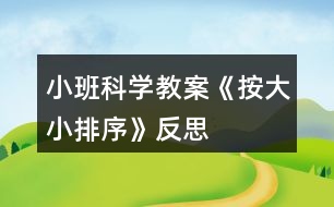 小班科學教案《按大小排序》反思