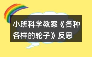 小班科學(xué)教案《各種各樣的輪子》反思