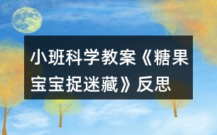 小班科學教案《糖果寶寶捉迷藏》反思