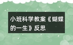 小班科學教案《蝴蝶的一生》反思