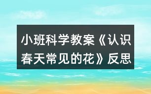 小班科學(xué)教案《認(rèn)識春天常見的花》反思