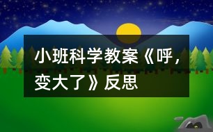 小班科學教案《呼，變大了》反思