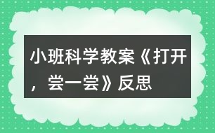 小班科學(xué)教案《打開，嘗一嘗》反思