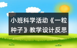 小班科學活動《一粒種子》教學設計反思