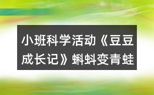 小班科學(xué)活動(dòng)《豆豆成長(zhǎng)記》蝌蚪變青蛙故事腳本