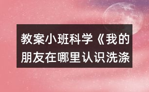 教案小班科學(xué)《我的朋友在哪里（認(rèn)識洗滌用品）》反思