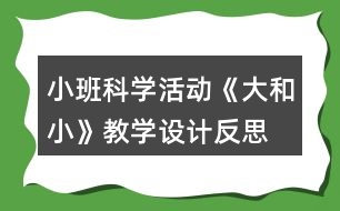 小班科學(xué)活動(dòng)《大和小》教學(xué)設(shè)計(jì)反思