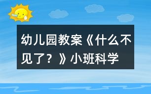 幼兒園教案《什么不見了？》小班科學(xué)