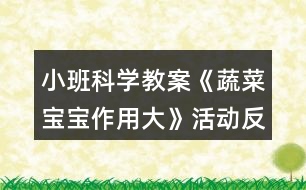 小班科學(xué)教案《蔬菜寶寶作用大》活動反思