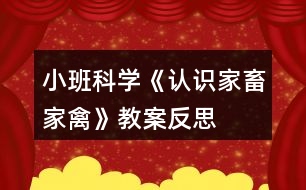 小班科學《認識家畜家禽》教案反思