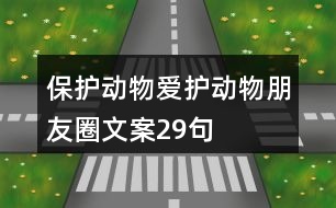 保護(hù)動(dòng)物、愛(ài)護(hù)動(dòng)物朋友圈文案29句