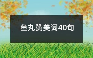 魚丸贊美詞40句