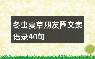 冬蟲夏草朋友圈文案語(yǔ)錄40句