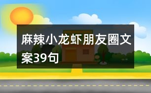 麻辣小龍蝦朋友圈文案39句