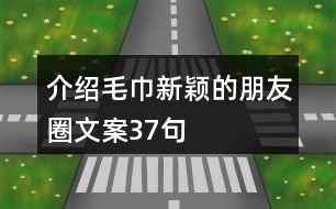 介紹毛巾新穎的朋友圈文案37句