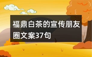 福鼎白茶的宣傳朋友圈文案37句