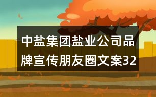 中鹽集團鹽業(yè)公司品牌宣傳朋友圈文案32句