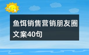 魚餌銷售營銷朋友圈文案40句