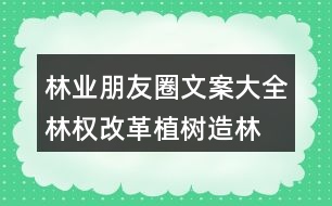 林業(yè)朋友圈文案大全：林權(quán)改革、植樹造林朋友圈文案36句