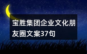 寶勝集團企業(yè)文化朋友圈文案37句