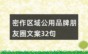 密作區(qū)域公用品牌朋友圈文案32句