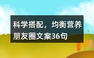 科學(xué)搭配，均衡營養(yǎng)朋友圈文案36句