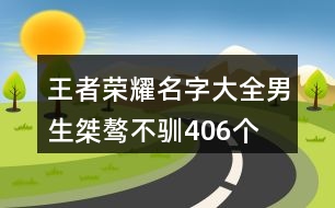 王者榮耀名字大全男生桀驁不馴406個