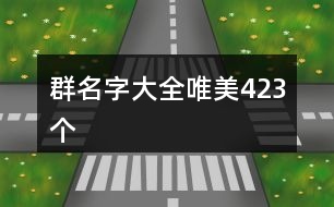 群名字大全唯美423個