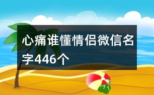 心痛誰懂情侶微信名字446個