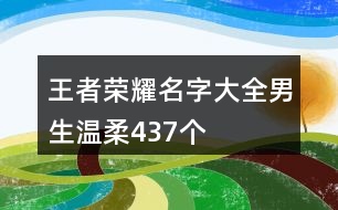 王者榮耀名字大全男生溫柔437個(gè)