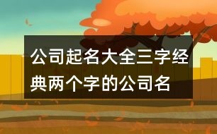 公司起名大全三字經(jīng)典,兩個字的公司名字霸氣414個