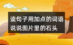 讀句子用加點的詞語說說圖片里的石頭