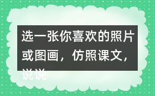 選一張你喜歡的照片或圖畫，仿照課文，說說上面都有什么。