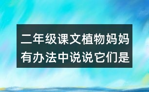 二年級課文植物媽媽有辦法中說說它們是怎么傳播種子的。