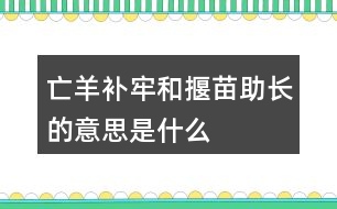 亡羊補(bǔ)牢和揠苗助長(zhǎng)的意思是什么