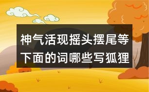 神氣活現(xiàn)搖頭擺尾等下面的詞哪些寫狐貍，哪些寫老虎的