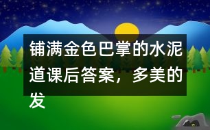 鋪滿金色巴掌的水泥道課后答案，多美的發(fā)現(xiàn)??！你在上學(xué)或放學(xué)路上看到了什么樣的景色？