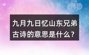 九月九日憶山東兄弟古詩的意思是什么？