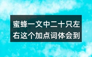 蜜蜂一文中二十只左右這個加點(diǎn)詞體會到什么