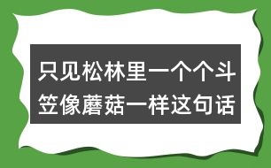 只見(jiàn)松林里一個(gè)個(gè)斗笠像蘑菇一樣這句話(huà)是什么意思