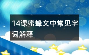 14課蜜蜂文中常見(jiàn)字詞解釋