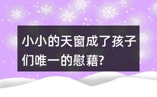 小小的天窗成了孩子們“唯一的慰藉”?找出相關(guān)語句和同學(xué)交流。
