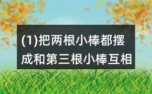 (1)把兩根小棒都擺成和第三根小棒互相平行。看一看，這兩根小棒互相平行嗎?