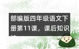 部編版四年級語文下冊第11課，課后知識擴展：什么是白樺樹