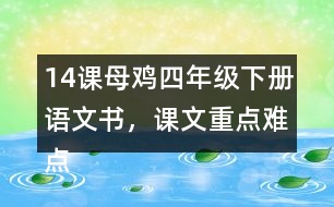14課母雞四年級下冊語文書，課文重點難點筆記