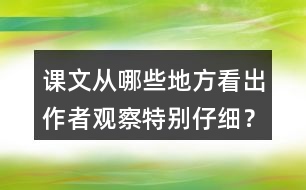 課文從哪些地方看出作者觀察特別仔細(xì)？