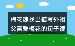 梅花魂找出描寫外祖父喜愛(ài)梅花的句子讀一讀，體會(huì)這些句子對(duì)表達(dá)外祖父的思鄉(xiāng)之情有什么好處。